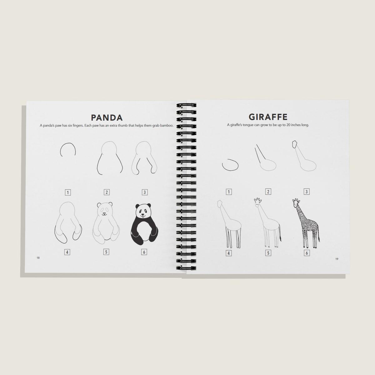 How to Draw All the Animals (Spiral)