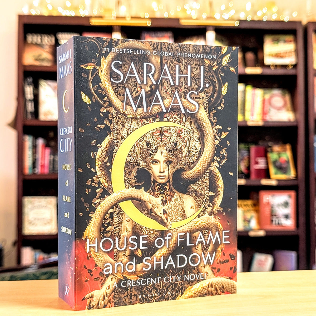 House of Flame and Shadow