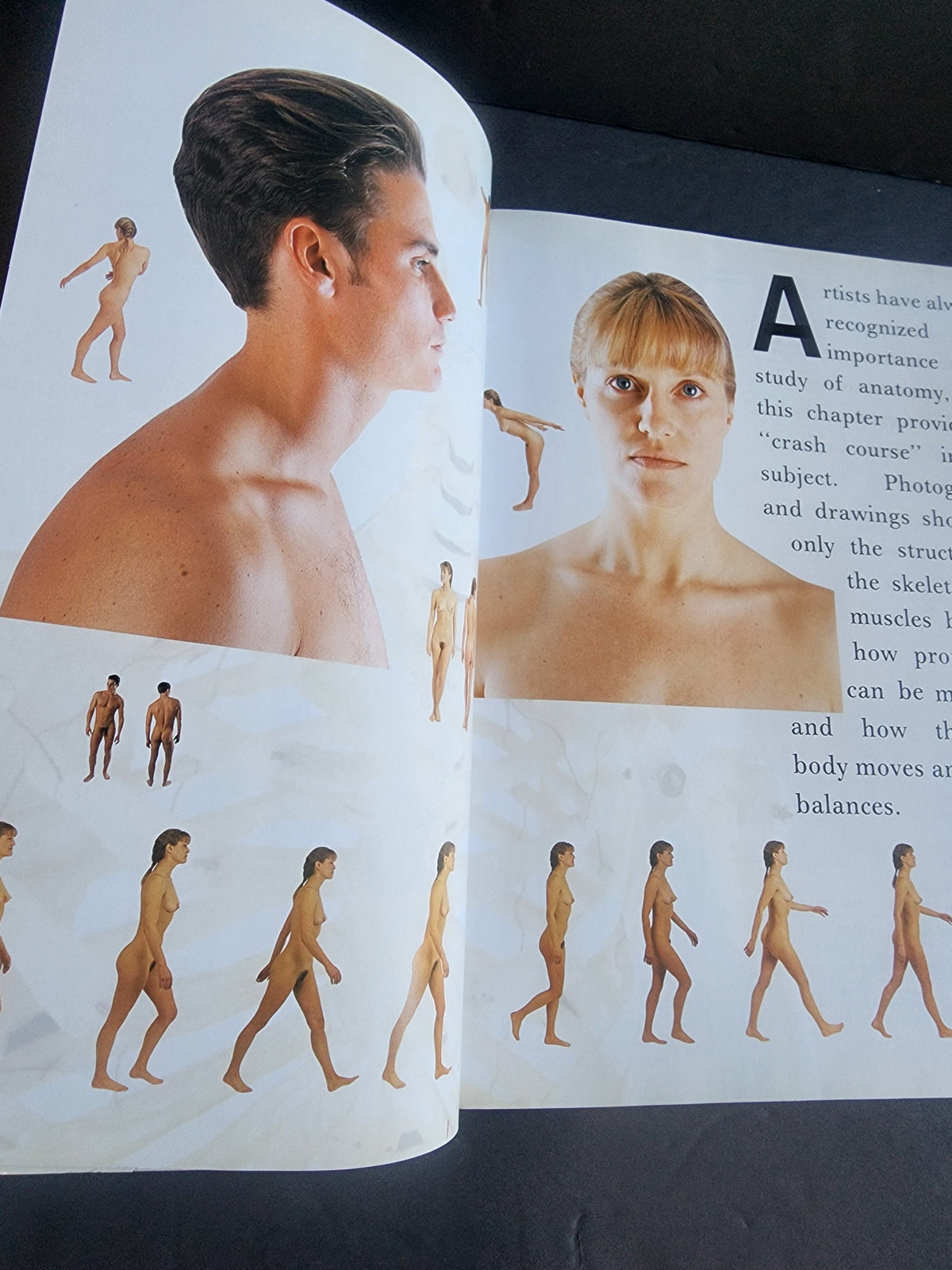 Complete Life Drawing Course by Diana Constance - Learn Figure Drawing & Anatomy
